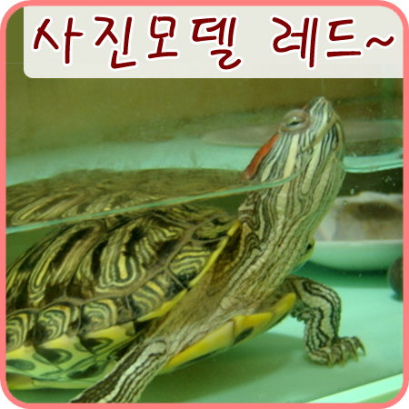  2006/02/22 겨울에'만' 좋은 모델이 되어주는 착한 레드