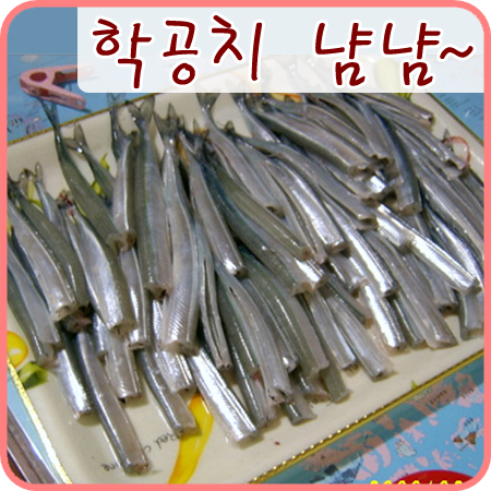  2006/02/17 레드가 제일좋아하는 맛있는 학공치