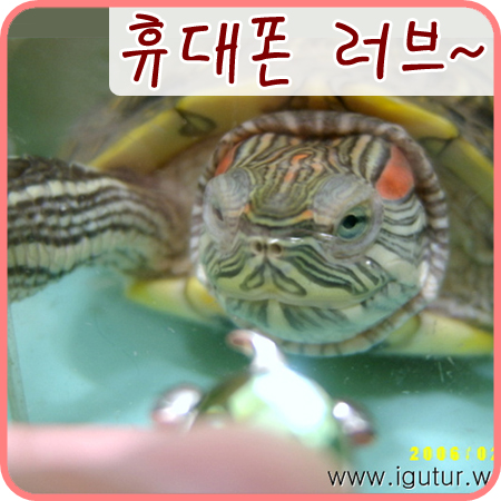  2006/03/05 레드는 핸드폰을 사랑해