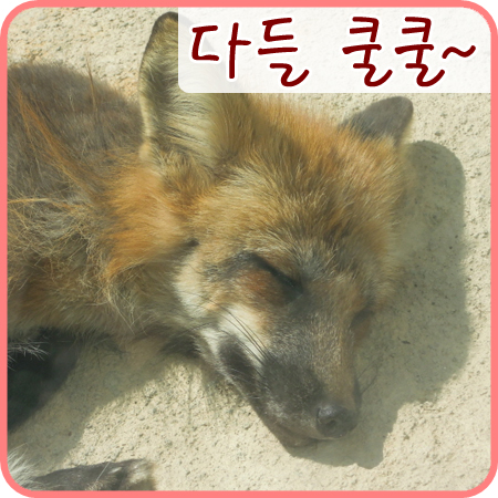  쿨쿨 나도 자고 싶어요