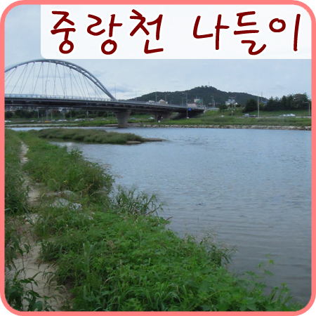  중랑천 나들이~