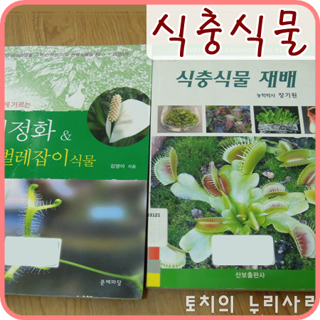  식충식물백화점에서 데려온 벌레잡이식물