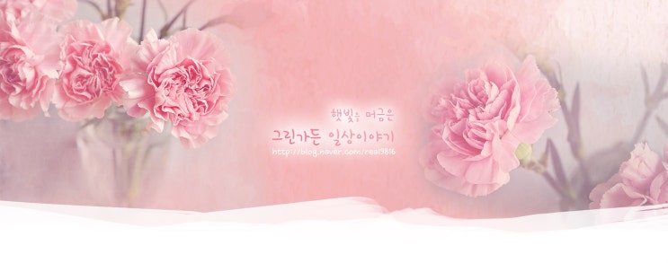  [블로그 꾸미기] 홈페이지 형태 투명 위젯 설치 방법