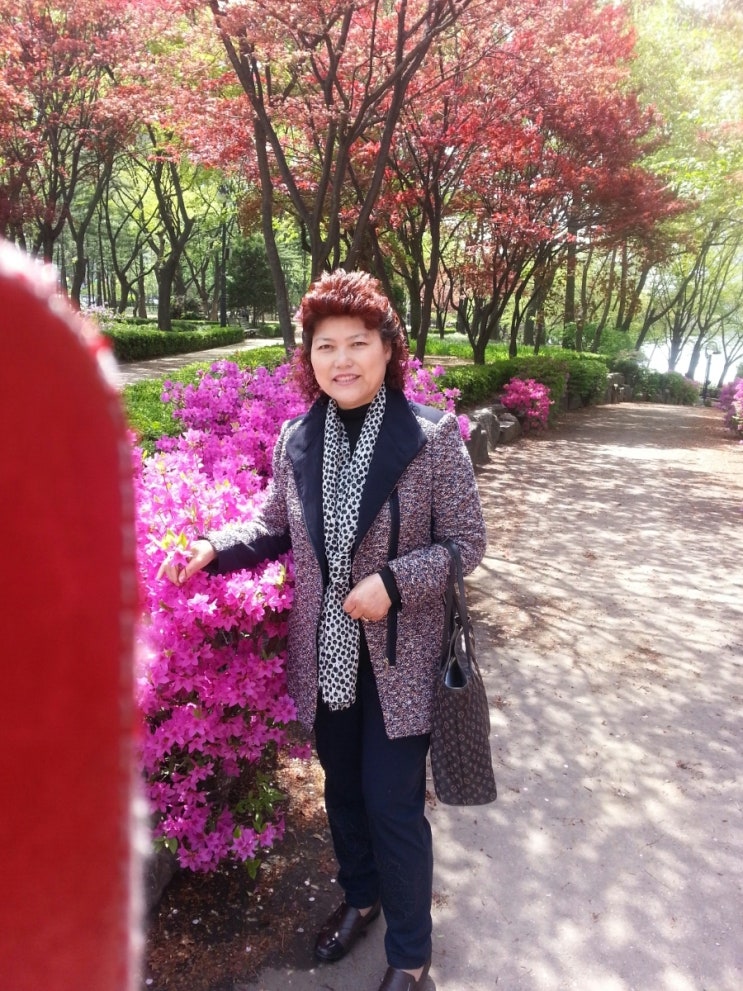 잠실 석촌호수 꽂길 잠실 석촌호수 꽂길