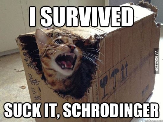 슈뢰딩거의 고양이에 관하여 : 네이버 블로그
