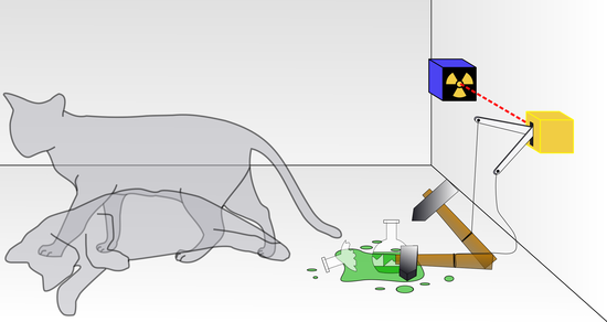 슈뢰딩거의 고양이에 관하여 : 네이버 블로그