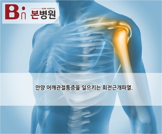  안양 어깨관절통증을 유발하는 질병은?