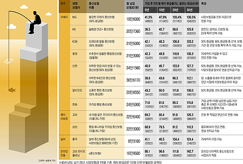 보험료 싼 대신 만기 前에 깨면 큰 손해… 신종 종신보험 아세요? 보험료 싼 대신 만기 前에 깨면 큰 손해… 신종 종신보험 아세요?