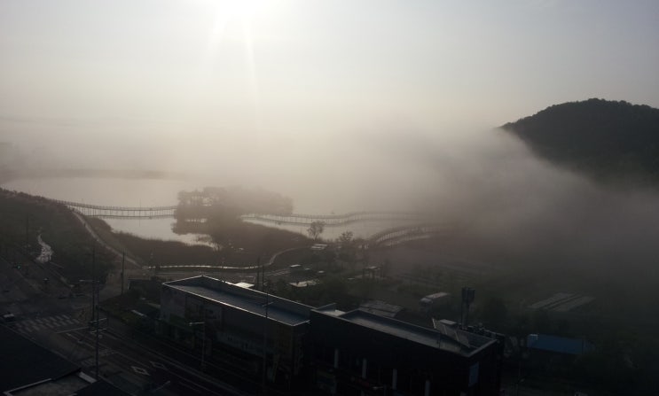  형제 싸움 화해시키기
