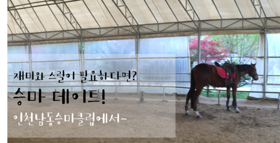  [후기&TIP] 인천남동승마클럽