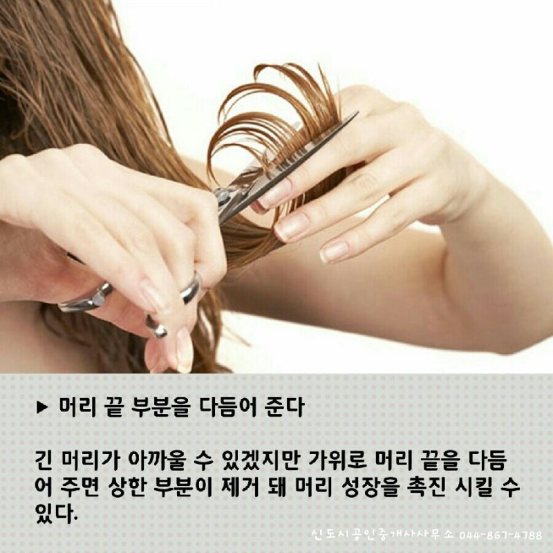 짧은머리 빨리 기르는 방법으로 청순한 긴머리로 도전?? : 네이버 블로그