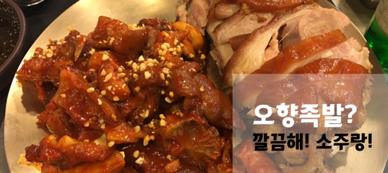  [후기&TIP] 시청역 족발집 : 오향족발
