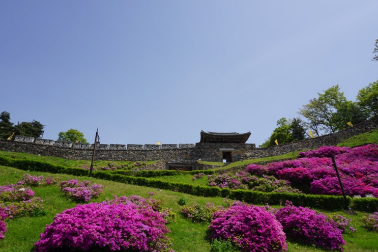  공주 여행 #1 공산성, 봄 나들이  