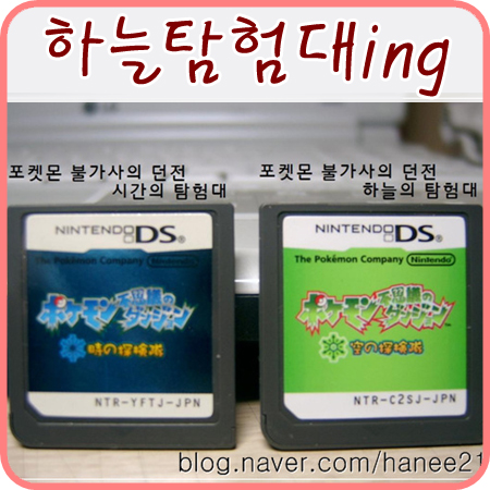  포켓몬 불가사의 던전 하늘의 탐험대~