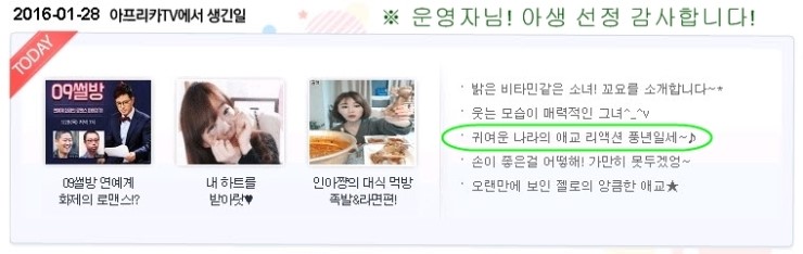  [블로그씨] 하루중 가장 집중이 잘 되는 시간은 언제인가요?