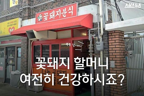 꽃돼지세상 이미지