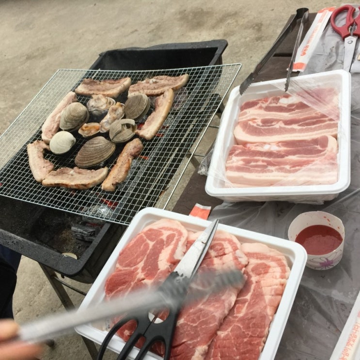  안면도여행 데이드림 리조트 & 갯벌체험 두둥