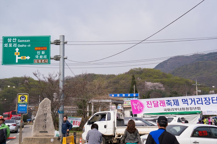  nx300 >진달래꽃 구경하기 좋은 고려산~