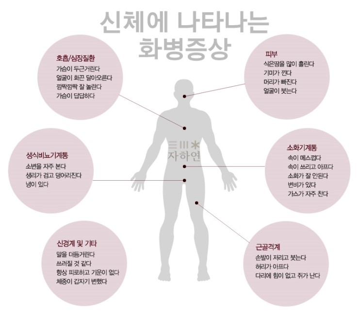 화병의 증상과 치료 (설렘 꽃병을 고치는 것)