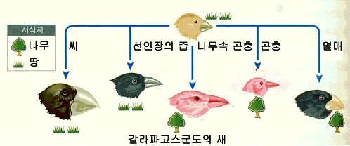다윈의 자연선택설과 진화 : 네이버 블로그
