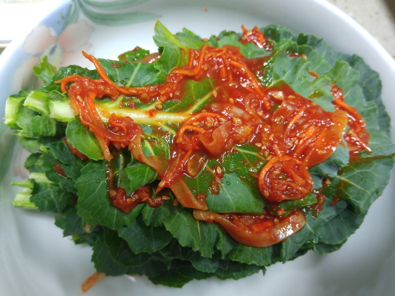 케일로 케일김치 담아 보세요!!