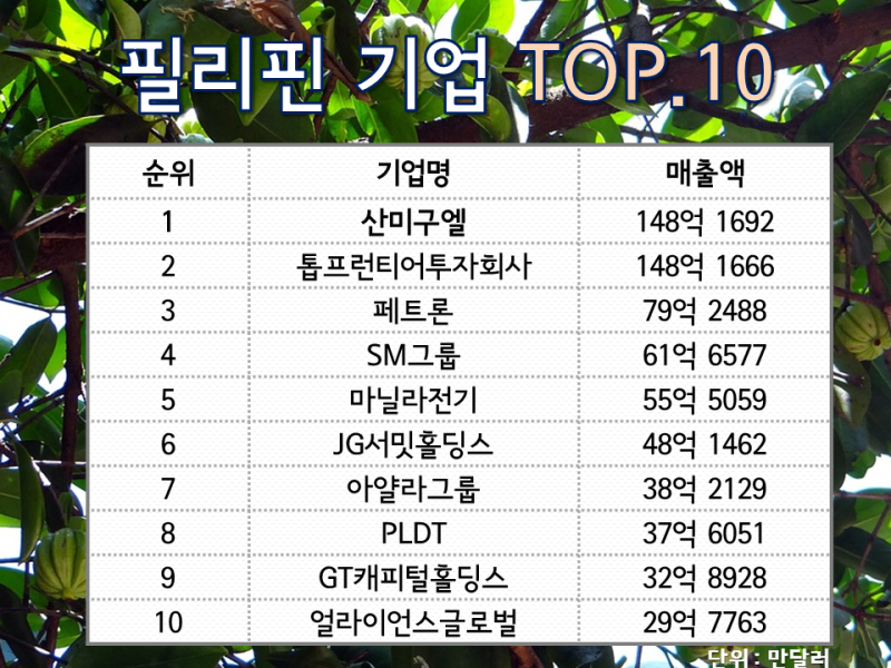 환상의 나라 필리핀 네버랜드