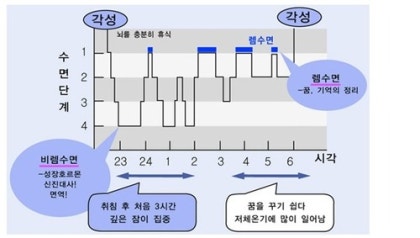 수면공포증이 지속적으로 반복되고 있다면