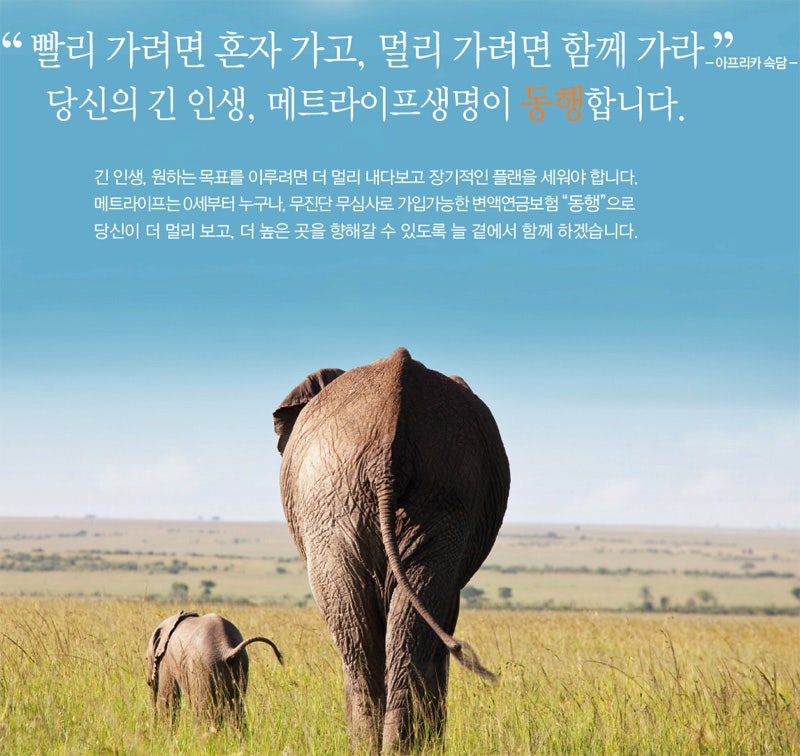 메트라이프 변액연금보험 동행 분석