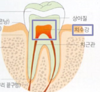 백세치과 이미지