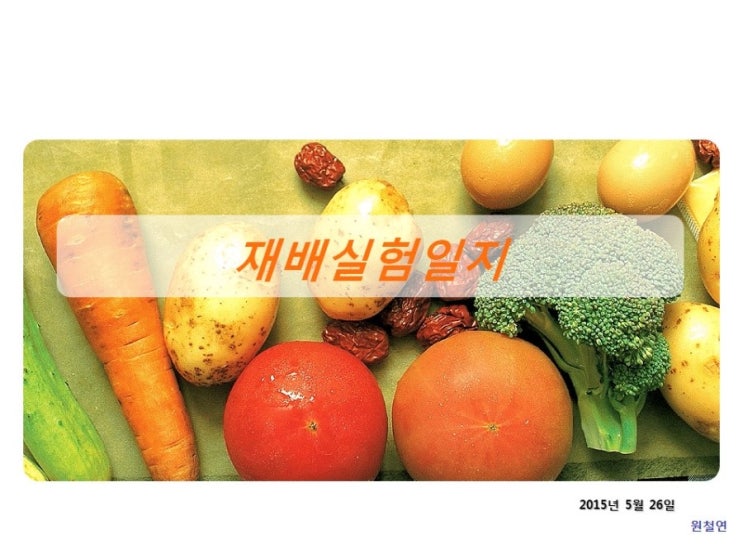 재배실험 (2015년 5월 26일 보리씨 발아실험) - 액상제품 base 물 처리실험 - 실패 재배실험 (2015년 5월 26일 보리씨 발아실험) - 액상제품 base 물 처리실험 - 실패