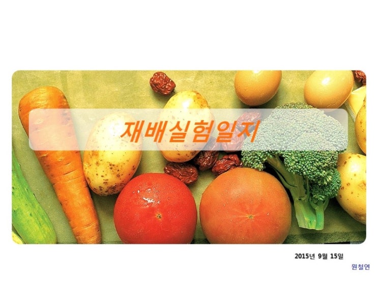 재배실험 - 무 성장 재배실험 (2015년 9월 15일) - 분상비료 base 개발실험 - 성공 재배실험 - 무 성장 재배실험 (2015년 9월 15일) - 분상비료 base 개발실험 - 성공