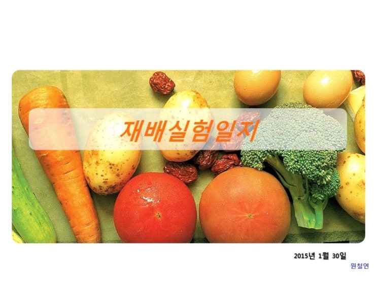   재배실험 (2015년 1월 30일 보리씨 발아 & 성장실험 - 실패함) - 유기농자재 개발