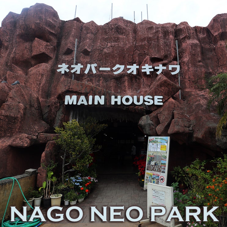 오키나와 경편철도체험~ 나고 자연동식물공원 네오파크 오키나와 : 오키나와여행