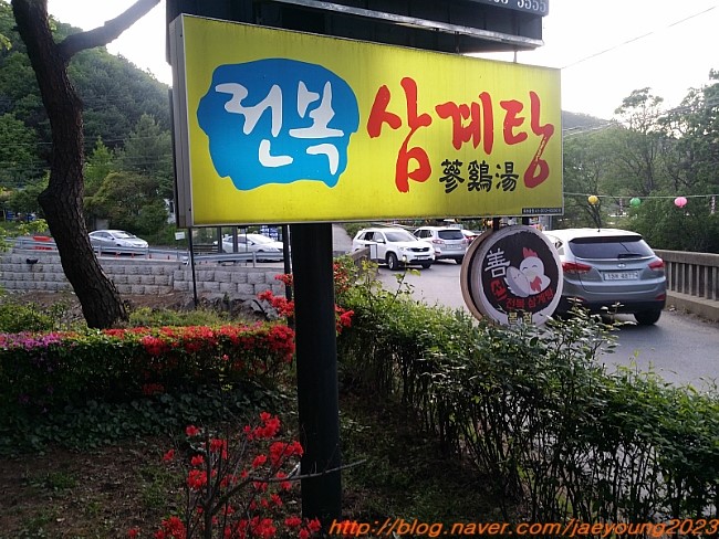  용인 고기동 선 전복삼계탕 맛보고 왔어요