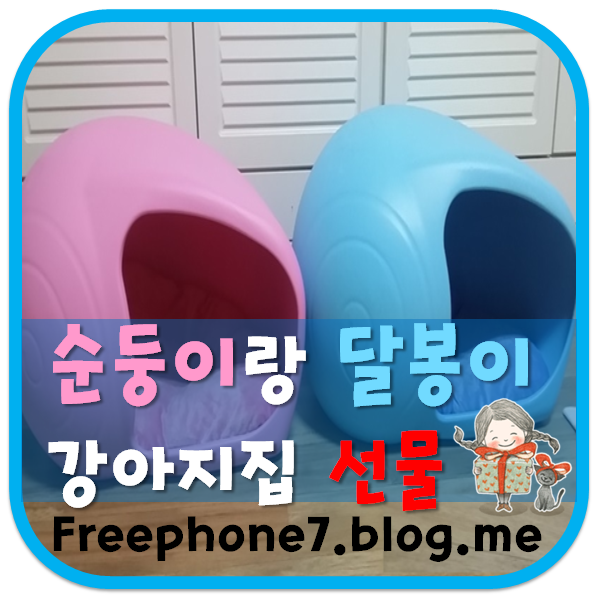  울집 순둥이와 달봉이 강아지집 선물 해줬어요 ^^