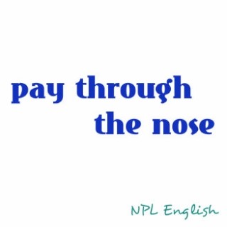 [재미있는 영어 숙어] pay through the nose