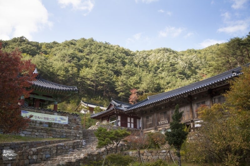 경북 템플스테이 추천_템플스테이로 지친 일상에 여유를!_경북 체험 ...