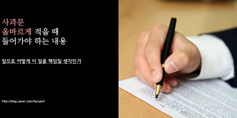 [사과문 쓰는법] 사과문 쓰는법으로 내 잘못과 실수를 바로잡자 : 네이버 블로그