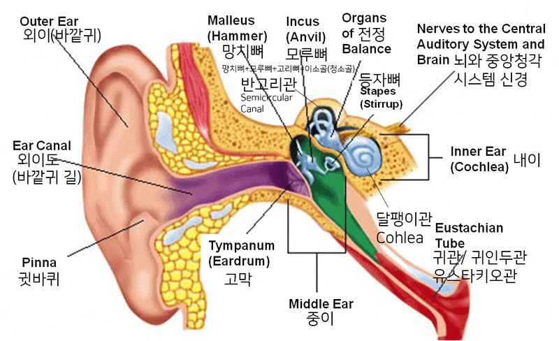 막고막창 이미지