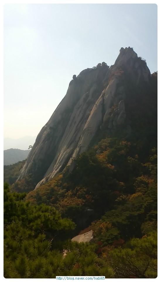  네이버 밴드 중독이 있는듯~