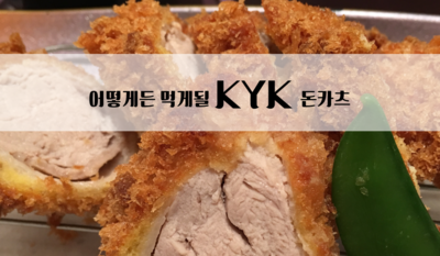  [오사카맛집] 돈카츠: KYK