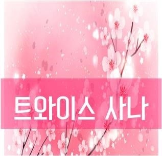 사나 국적, 본명 아직 모르니?