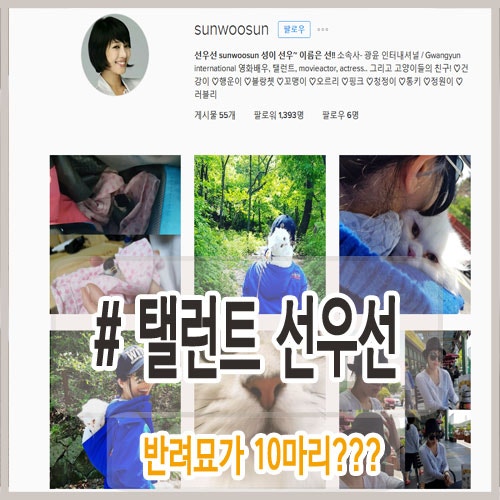 선우선 고양이 홀릭 : )