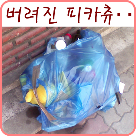  버려져 있던 피카츄 인형..