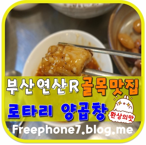  부산 연산동 골목맛집 로타리양곱창