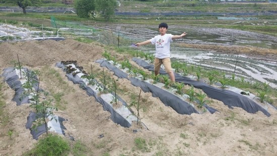  텃밭가꾸기^^