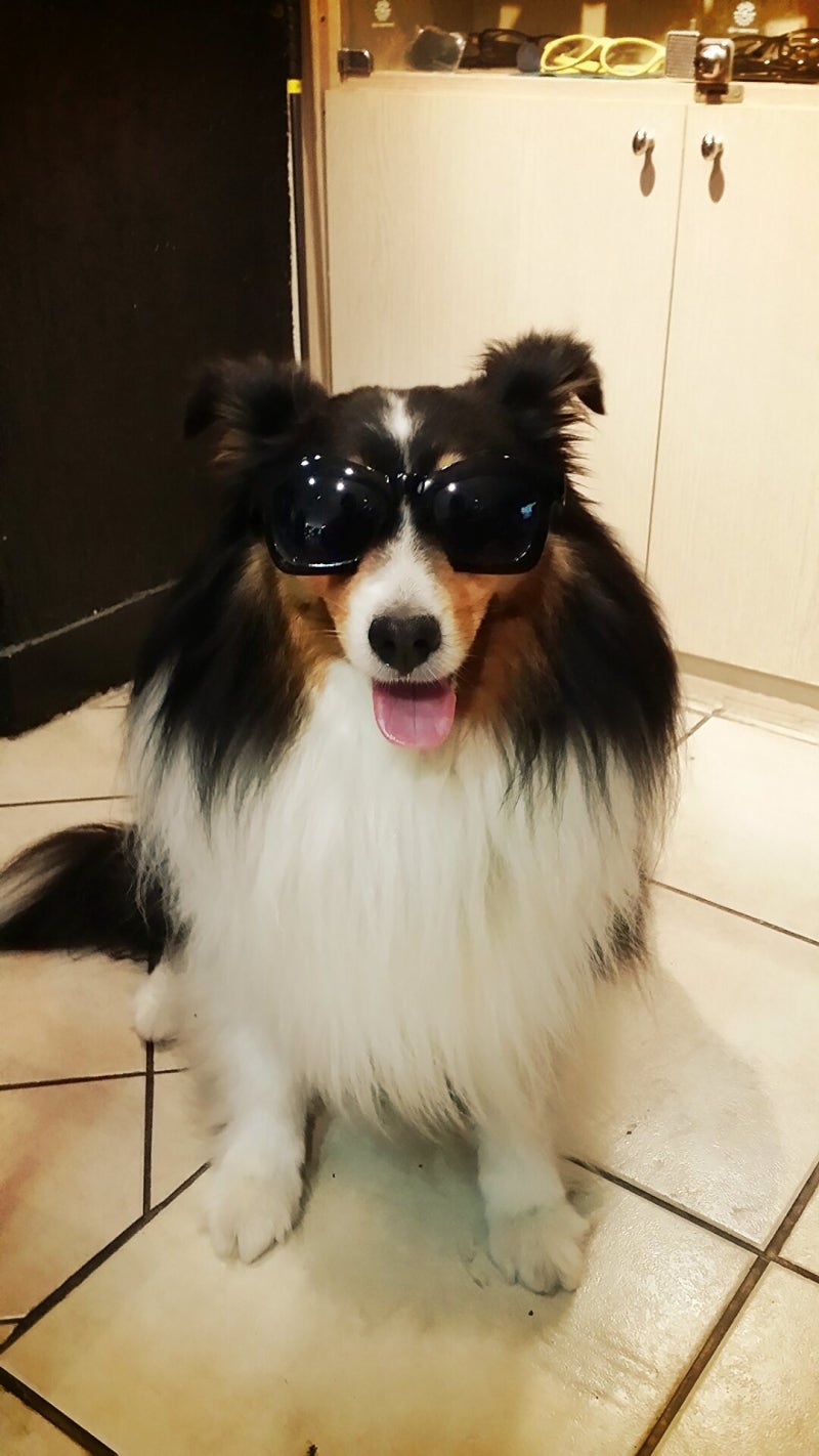 영진약품 kt&g생명과학 합병으로 제약주 목표주가는? : 네이버 블로그