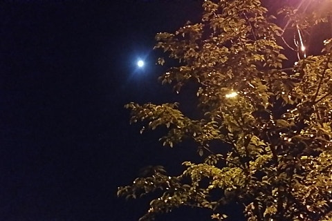 호숫가민박 이미지