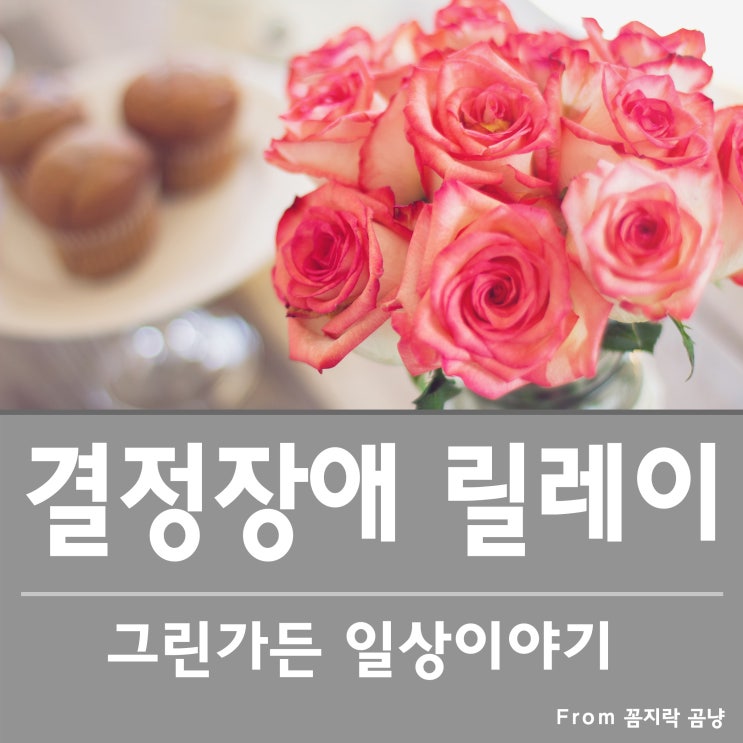  결정 장애 릴레이 스따뚜~             :) From 꼼지락곰냥