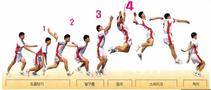 ë°°êµ¬ ìŠ¤íŒŒì´í¬ ìŠ¤í… ë¶„ì„ì„ ê¼¼ê¼¼ížˆ ê³µë¶€í•´ ë´…ì‹œë‹¤ ë„¤ì´ë²„ ë¸